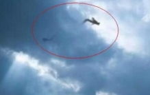 95年安徽巨蟒渡劫事件真相,1995年安徽省出现巨蟒是真实的吗