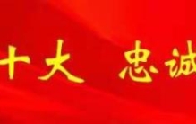 保护野生动物植物,打击野生动植物犯罪专项行动