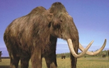 近期新物种,世界上新发现的物种