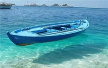 世界上最透明的海 马尾藻海（可看到海下72米生物）