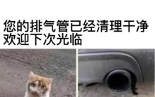 奇闻异事大合集,奇闻合集