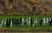 南半球岛国：人们将牙刷  自行车等废品都挂在篱笆上  成靓丽风景