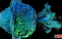 世界上最美丽的10种白鸟 没见过的可亏大了!(图片曝光)