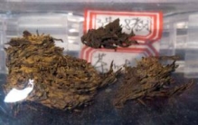 世界上最古老的茶叶，汉阳陵出土陪葬文物（皇帝陪葬品）