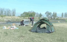 露营帐篷里有条蛇快快拨打119报警