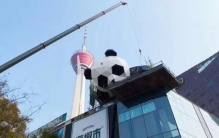 成都爬楼的熊猫「萌成都又一只熊猫爬上了楼」