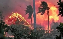 夏威夷大火为何难见消防和军队救灾 消防系统引发质疑