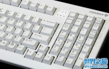 机械键盘什么牌子好，樱桃斐尔可海盗船哪个好