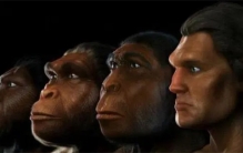 人类的进化已经停止了，但真的是这样吗？未来的人类会变成什么样