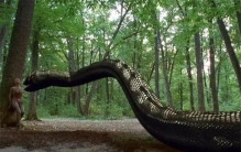 如果年轻人拿着一把刀，被蟒蛇吞了，能自救吗？网友：藏刀报仇吧