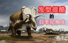 恐龙 头发,远古时代三角龙