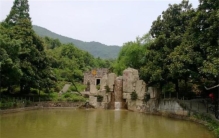 临武石龙真相始末在哪,临武罗英诊所事件