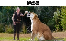 在这个世界上真实存在着的5种奇怪的杂交动物,世界上都有哪些杂交动物