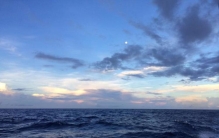 马头鱼尾怪兽,海怪之谜