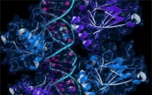 人类身高的极限 可能是多高 （身高极限）