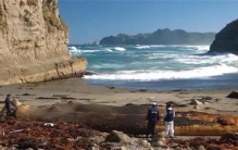 传闻中被发现的5个海怪，南极的死亡之星是什么？