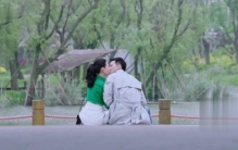 如果爱陆阳为追爱提出辞职宋乔植知陆阳隐藏多年秘密