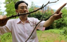 世界上年龄最大的猫，34岁花斑家猫（相当于人类152岁）