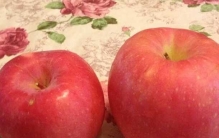 世界上十大最小东西：最小猴子和蚕豆一般大小(可放口袋)