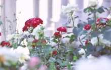 关于大连的老故事,大连老街美食一条街