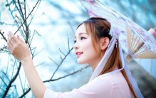 和梅花有关的古诗你还知道哪些,古代诗人怎么评价梅花