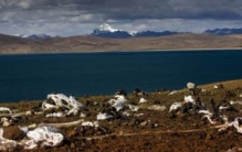 鬼湖拉昂错无生命迹象，30年船夫不敢行船