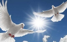 哪个国家最和平?盘点世界十大和平国家(附和平指数)