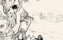 晚上回家被蛇拦路,半夜走路遇到蛇拦路