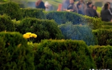 今年清明节能去墓地扫墓吗,清明上坟在时间上有什么讲究