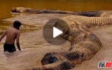 世界上最大的巨森蚺，体长十米堪比远古泰坦巨蟒(图片)