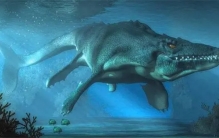 被怀疑依然存活于世界的5大史前动物，大地懒身高可达4米！