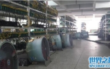 走进真实的比特币矿场，偏远山区隐藏着巨额的财富