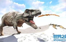 恐龙星球天空霸主风神翼龙 双翼展开可达十一米