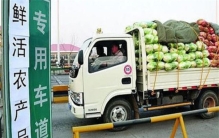 货车司机拉大蒜过绿通 却被工作人员阻拦（绿通政策）