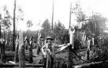 1994年贵阳出现34时间停滞34和34龙爪印34事件科学解释难以信服