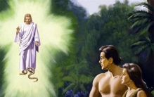 人类的第一个祖先，是男还是女？“露西少女”能解答吗