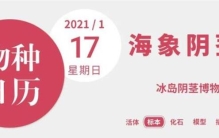 千奇百怪的动物丁丁原来都是内卷的结果