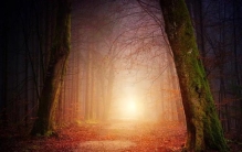 攻醋精的文,纯爱小说甜文但不沙雕