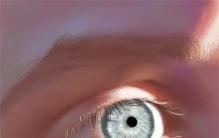 人的眼睛像素高达5.76亿 这么厉害的眼睛是怎么进化出来的呢