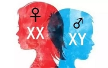 鳄鱼能决定后代性别 孵化温度高一点是雄性 低一点是雌性