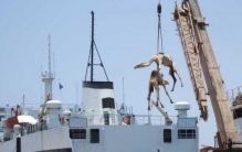 沙特阿拉伯数字1至10,深度解析沙特阿拉伯