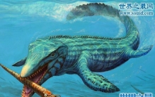 史前海洋霸主上龙，凶猛绝伦(食物链最顶端的存在)