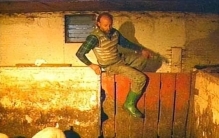 杀猪场杀猪,现杀活猪