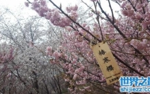 春寒料峭这个词语出自哪里什么意思，又意味着什么，用在哪里 ...