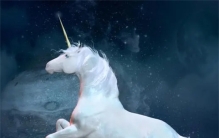 传说中的神秘生物独角兽，是不是真的存在？