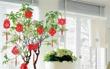 不适合养家里的花,都有哪些花家庭不能养