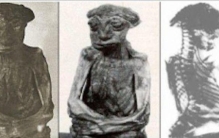 世界奇异录,世界奇闻异事系列