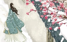 故事我被逼嫁给富家病少爷大婚夜我偷偷替他诊脉时发现不对劲