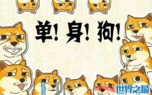 单身狗图片表情包盘点，别看了就你还是单身狗