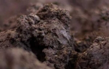 世界上最大的高原:是青藏高原的2倍(达500万平方公里)